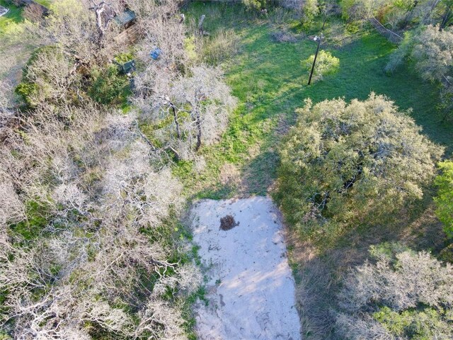 18311 Spring Ln, Jonestown, TX 78645 - photo 5