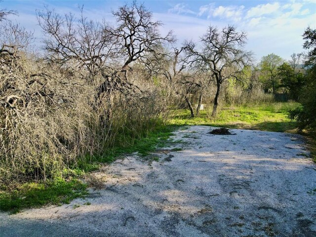 18311 Spring Ln, Jonestown, TX 78645 - photo 7