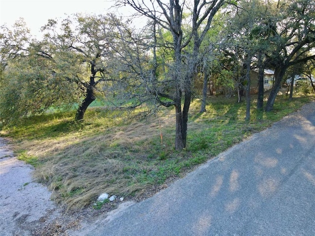 18311 Spring Ln, Jonestown, TX 78645 - photo 8