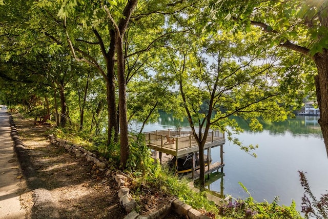 dock area with a water view