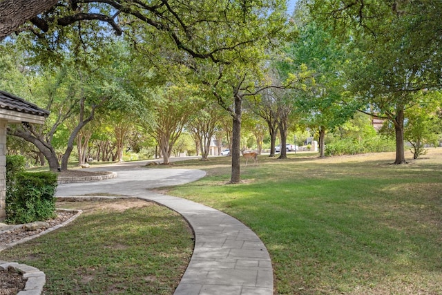 view of property's community with a yard