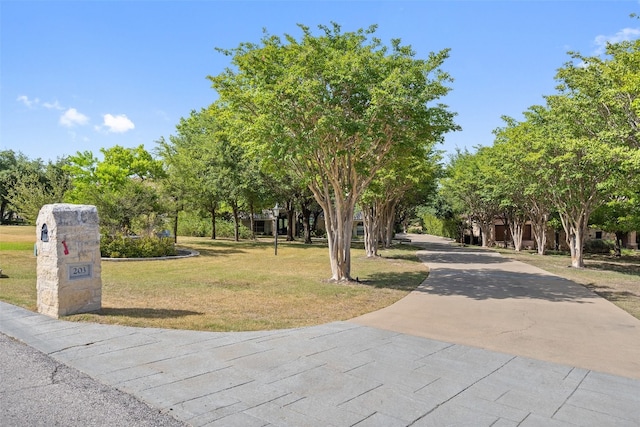 view of home's community with a yard