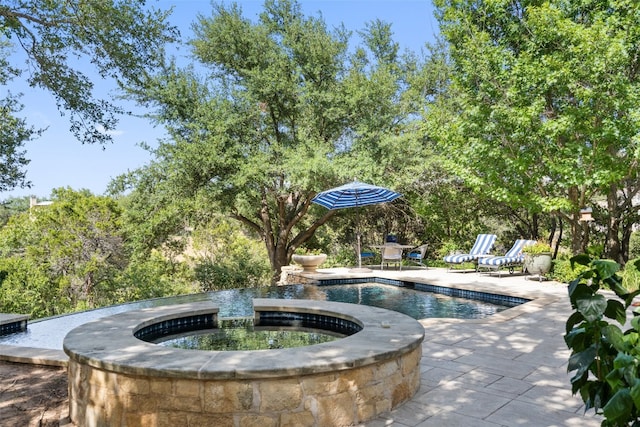 view of pool featuring a patio