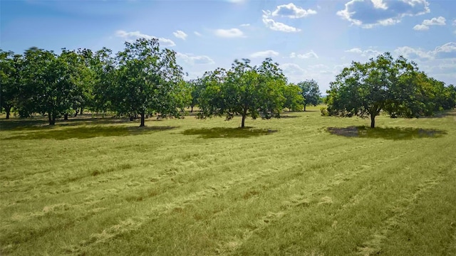 95 Loma Ln, Fredericksburg, TX 78624 - view of green lawn with a rural view