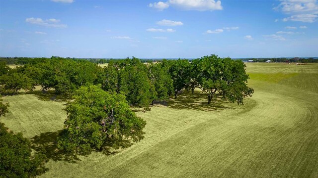 view of nature with a rural view