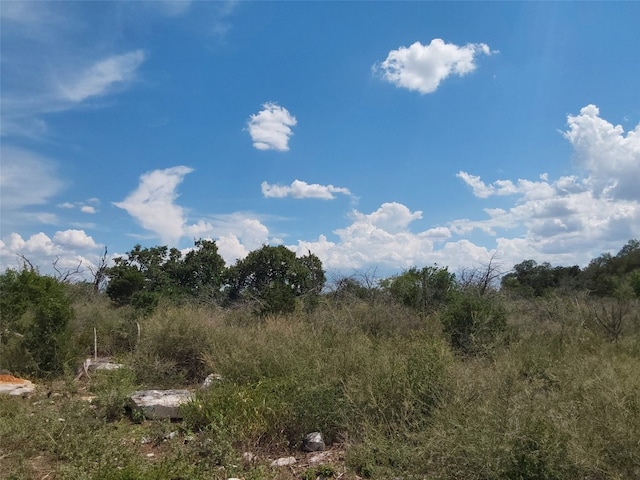 309 Eagle Basin Cir, Spicewood TX, 78669 land for sale