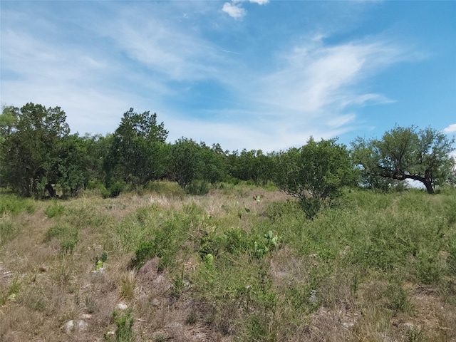 313 Eagle Basin Cir, Spicewood TX, 78669 land for sale