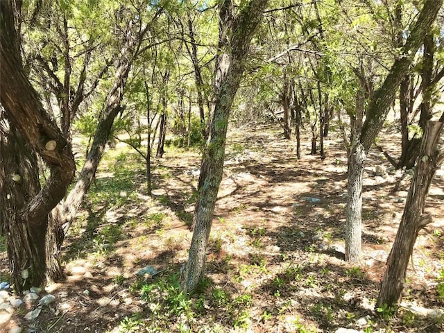 7205 White Oak Dr, Lago Vista, TX 78645 - photo 4