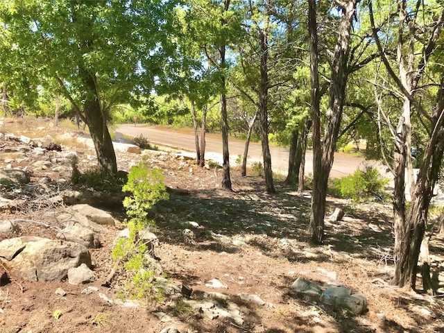 7205 White Oak Dr, Lago Vista, TX 78645 - photo 22