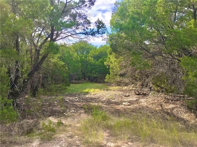 8126 Chantily Trl, Lago Vista TX, 78645 land for sale