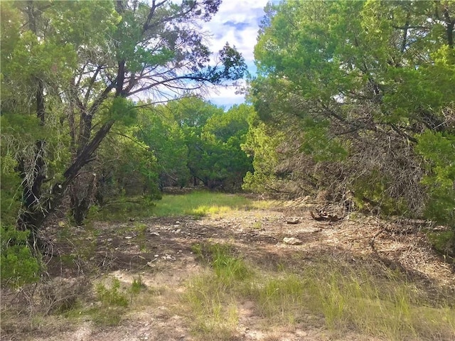 8126 Chantily Trl, Lago Vista, TX 78645 - photo 1