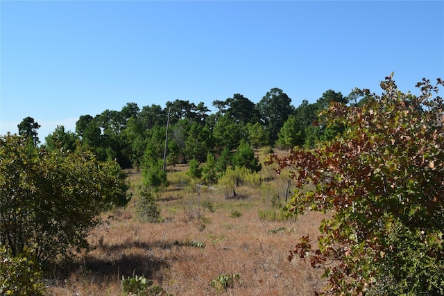 Address Not Disclosed, Smithville TX, 78957 land for sale