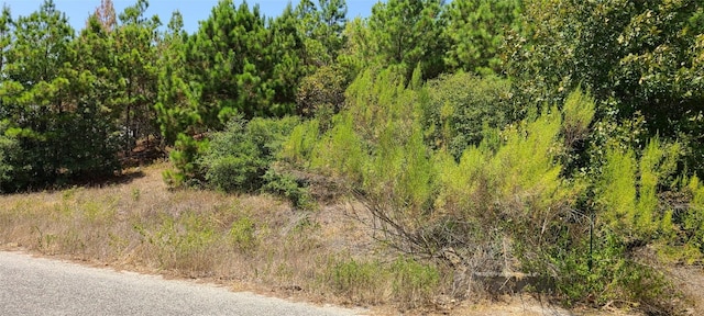 TBD Tall Forest Dr, Bastrop, TX 78602