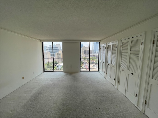 interior space featuring light colored carpet, expansive windows, access to exterior, a textured ceiling, and multiple closets