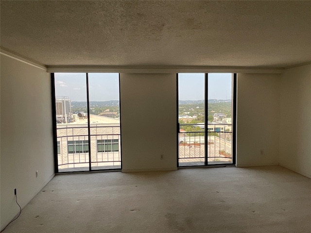 empty room with a wealth of natural light, light carpet, and a textured ceiling