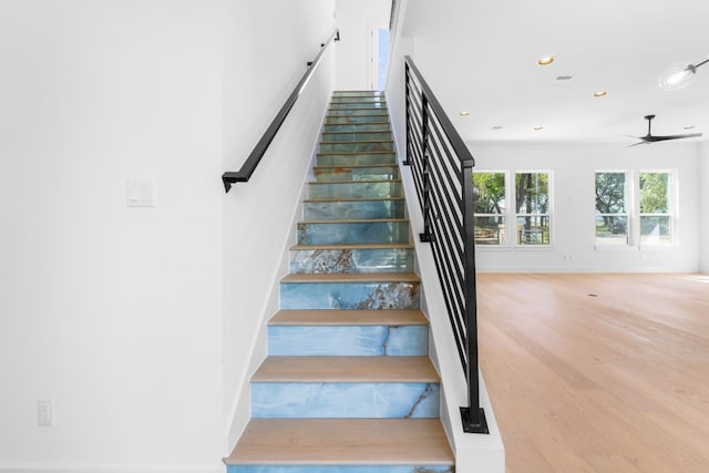 staircase featuring ceiling fan and wood-type flooring