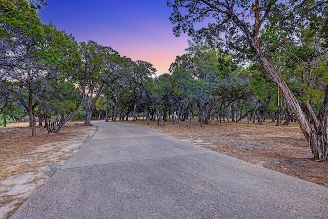 19586 Sandcastle Dr, Spicewood, TX 78669 - photo 5