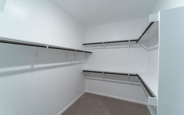 spacious closet with carpet flooring