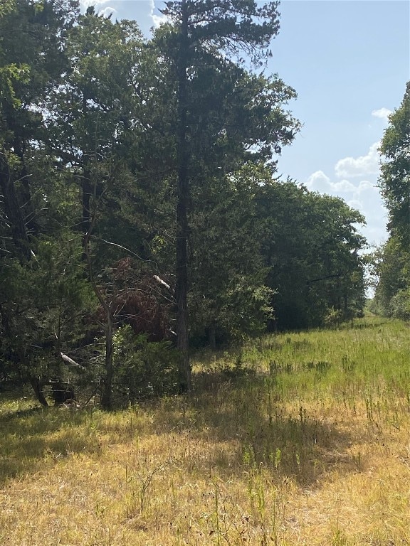 Listing photo 2 for TBD Cr 200, Giddings TX 78942