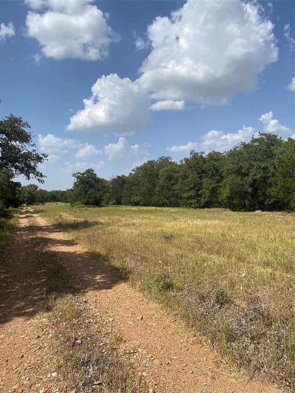 Listing photo 3 for TBD Cr 200, Giddings TX 78942