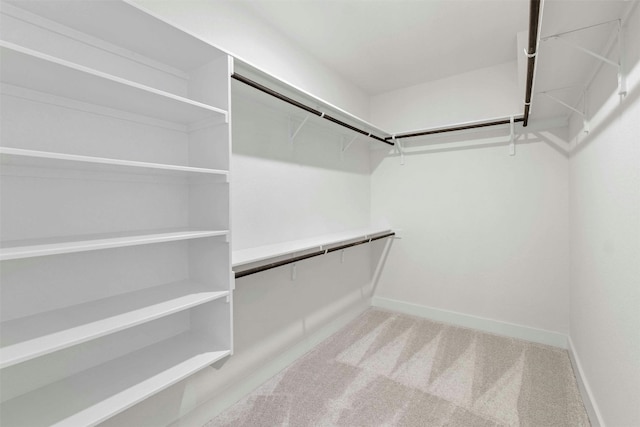 walk in closet featuring carpet floors