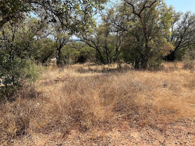 Listing photo 2 for LOT169-171 Fire Dance Dr, Spicewood TX 78669