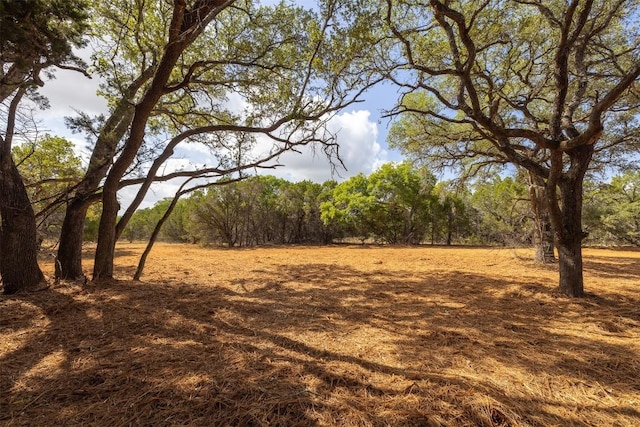 275 Deer Run, Wimberley, TX 78676 - photo 2