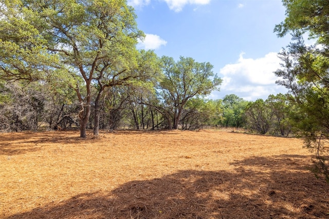 Listing photo 3 for 275 Deer Run, Wimberley TX 78676