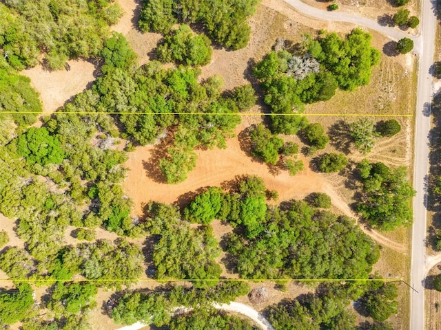 275 Deer Run, Wimberley, TX 78676 - photo 12