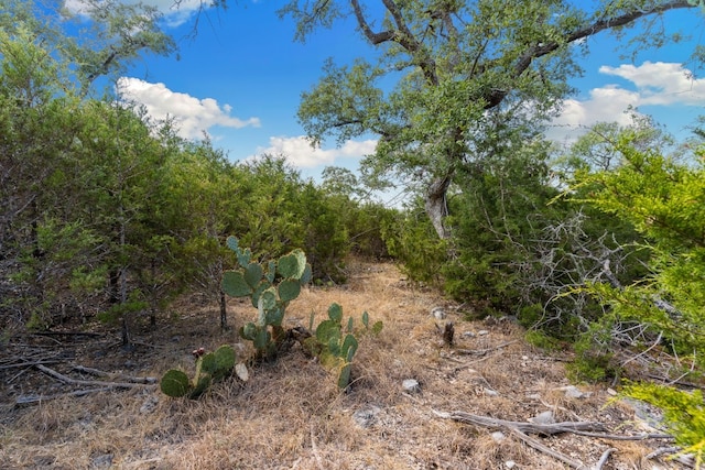 Address Not Disclosed, New Braunfels TX, 78132 land for sale