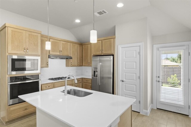 kitchen with sink, hanging light fixtures, appliances with stainless steel finishes, a center island with sink, and light hardwood / wood-style floors