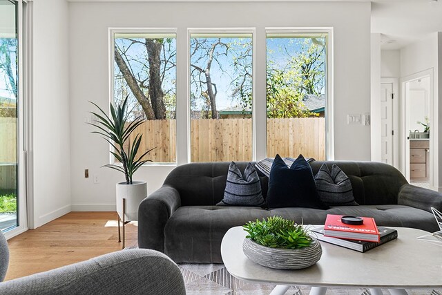 living room with plenty of natural light and light hardwood / wood-style floors