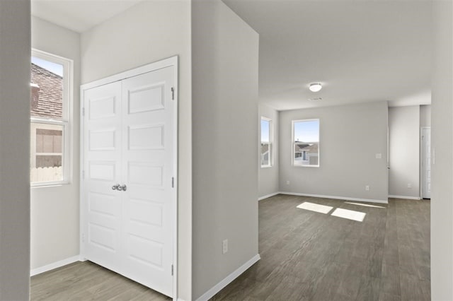 foyer featuring dark wood-type flooring and a wealth of natural light