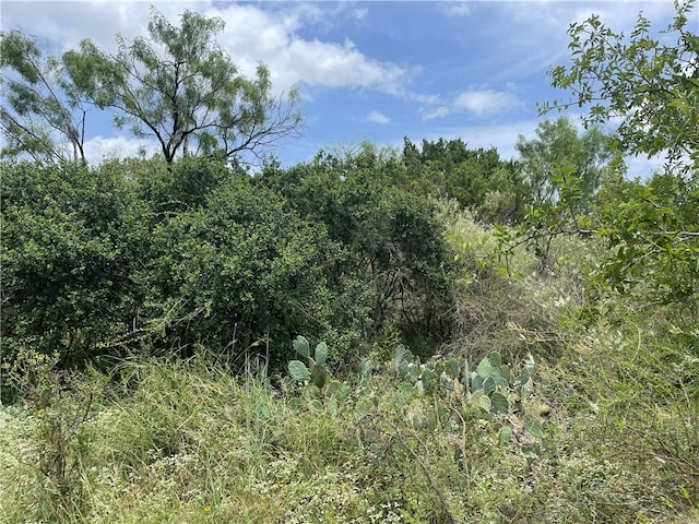 LOTS112-113 Cedar Hl, Granite Shoals TX, 78654 land for sale