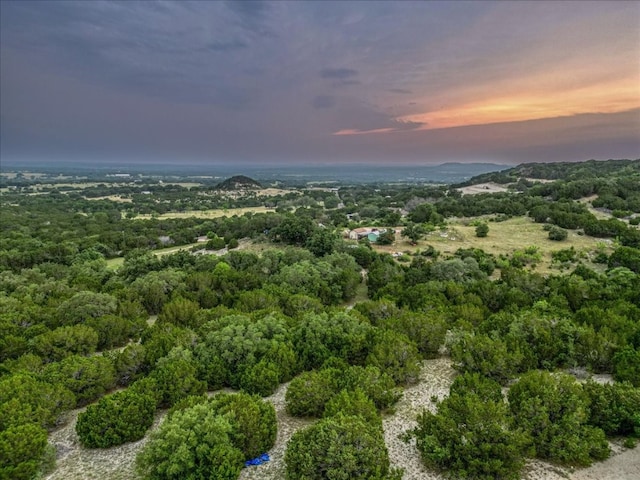 TRACTH8-16350 Cedar Valley Rd, Salado TX, 76571 land for sale