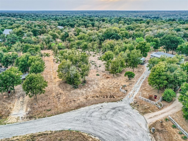 160 Enchanted Cv, Cedar Creek TX, 78612 land for sale