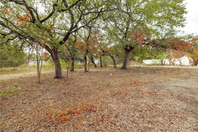 10601 W Lakeview Dr, Jonestown TX, 78645 land for sale