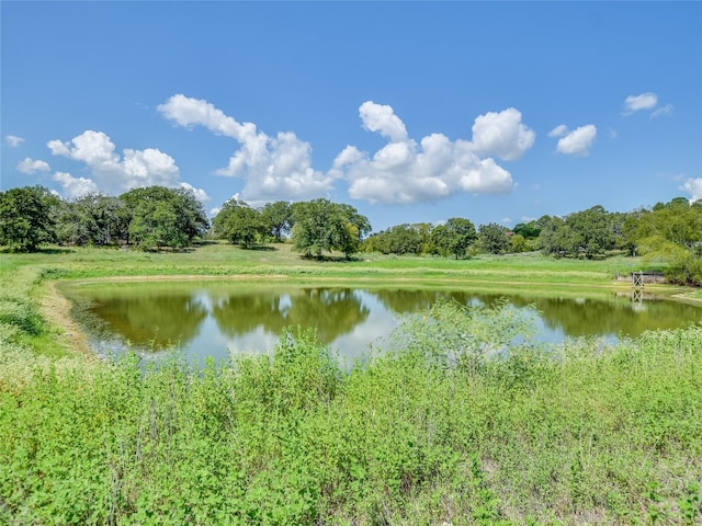 Listing photo 3 for LOT3 Hoffman Rd, Bastrop TX 78602