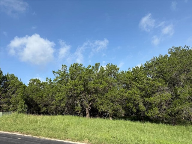 LOTW34027 Apache Tears, Horseshoe Bay, TX 78657 - photo 2
