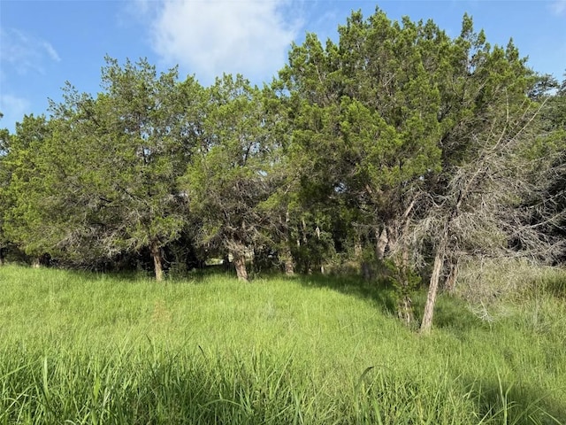 LOTW34027 Apache Tears, Horseshoe Bay, TX 78657 - photo 3