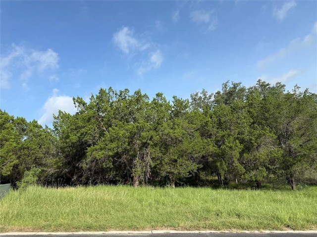 LOTW34027 Apache Tears, Horseshoe Bay, TX 78657 - photo 4