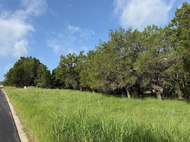 LOTW34027 Apache Tears, Horseshoe Bay, TX 78657 - photo 5