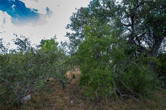 TBD Crooked Run, Horseshoe Bay, TX 78657 - photo 2