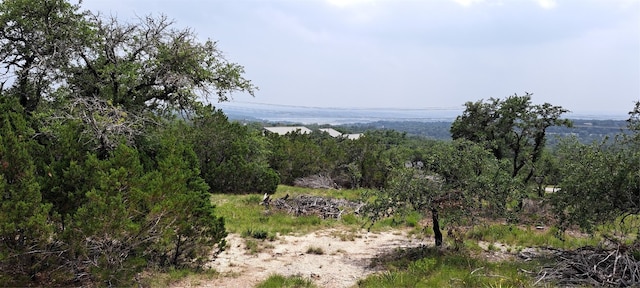 Listing photo 2 for 19614 Boggy Ford Rd, Lago Vista TX 78645