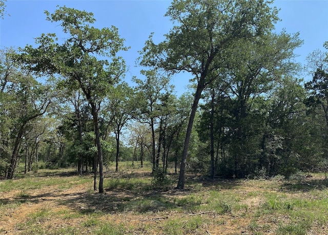 TBD High Crossing Rd Unit T7 T8, Smithville TX, 78957 land for sale