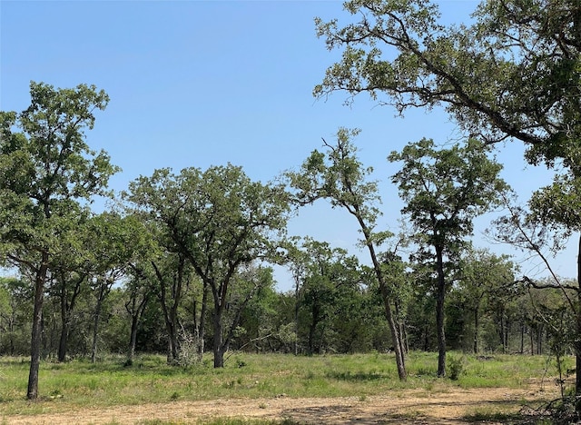 Listing photo 2 for TBD High Crossing Rd Unit T7 T8, Smithville TX 78957