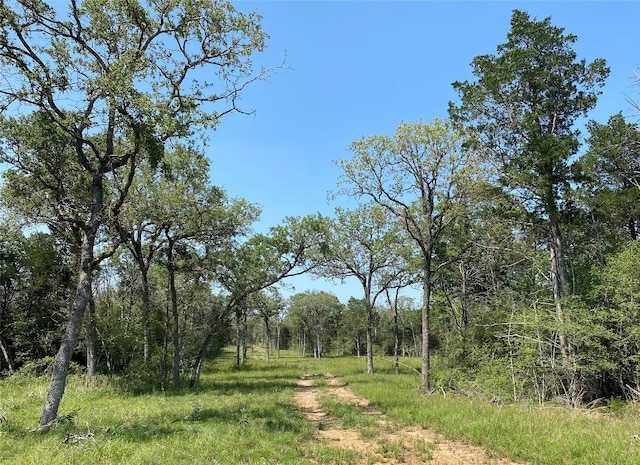 TBD High Crossing Rd Unit T7 T8, Smithville, TX 78957