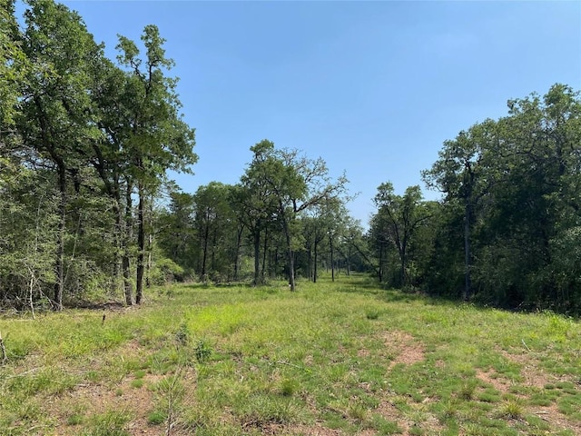TBD High Crossing Rd Unit T7 T8, Smithville, TX 78957