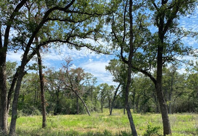 TBD High Crossing Rd Unit T7 T8, Smithville, TX 78957