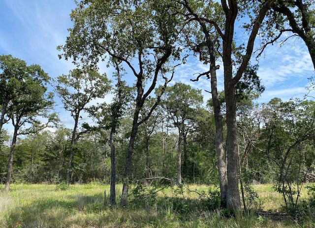 TBD High Crossing Rd Unit T7 T8, Smithville, TX 78957